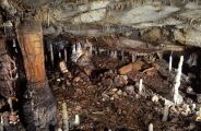 Caverna espanhola ficou bloqueada por 16.800 anos e preservou uma habita&ccedil;&atilde;o pr&eacute;-hist&oacute;rica intacta 