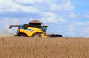 Agroneg&oacute;cio concentra R$ 1,5 bilh&atilde;o dos financiamentos do FCO em MS