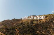 Aos 81 anos, astro de Hollywood cuida de 1.500 &aacute;rvores para manter a sa&uacute;de mental