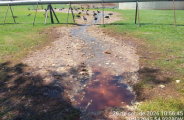 Frigor&iacute;fico em Sidrol&acirc;ndia ser&aacute; investigado por vazar v&iacute;sceras em fazenda