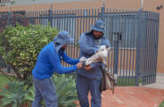 Vacina&ccedil;&atilde;o de c&atilde;es e gatos ter&aacute; tr&ecirc;s pontos em Campo Grande neste s&aacute;bado