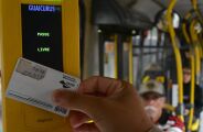 &Ocirc;nibus t&ecirc;m tarifa zero e movimento intenso em dia de vota&ccedil;&atilde;o em Campo Grande
