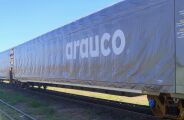 Arauco ganha aval para usar ferrovia e levar celulose de MS a Santos