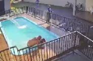 Homem &eacute; morto a tiros dentro de piscina durante festa em Campo Grande
