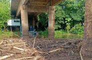 Em cheia antecipada, rio mais piscoso do Pantanal sobe mais 50 cm