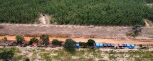 Fazenda da Suzano em MS sofre tentativa de invasão por sem-terra