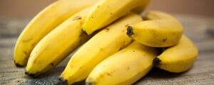 Bem-estar B+: Dia da Banana: conheça 6 mitos e verdades sobre a fruta