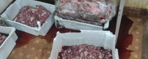 Espetaria vendia glândulas mamárias e carne com corante em Campo Grande