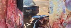 Polícia apreende quase duas toneladas de carne com terra e insetos