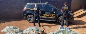 MS: Comboio de 4 caminhonetes de luxo é interceptado com R$ 16 milhões em cocaína