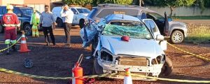 Mulher morre após acidente com capivara na BR-163 em MS