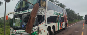 Acidente entre ônibus intermunicipal e caminhão mata duas pessoas na BR-262
