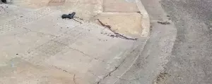 MPMS defende júri popular a "sniper" do Batalhão de Choque