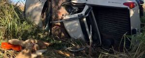 Sobe para quatro número de mortos em acidente próximo da BR-262