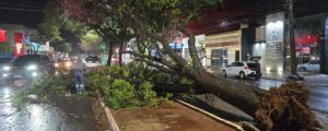 Após longa estiagem, chuva volta com granizo e vendaval em Mato Grosso do Sul