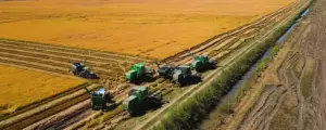 Por R$ 161 milh&otilde;es, fazenda do arroz Tio Bepy vai a leil&atilde;o 