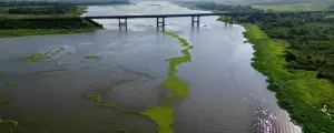 Polui&ccedil;&atilde;o da celulose come&ccedil;a a tomar conta do 3&ordm; maior lago do pa&iacute;s
