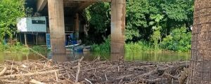 Em cheia antecipada, rio mais piscoso do Pantanal sobe mais 50 cm