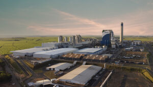 Bracell recebe licença para construção de megafábrica de celulose em MS