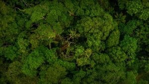 Entidade de Rio Negro &eacute; alvo do MPF por pesquisas ligadas &agrave; "Ratanab&aacute;"