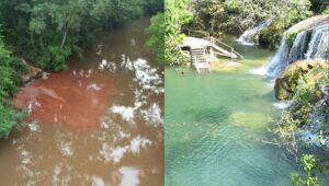 Ap&oacute;s alerta no Rio Mimoso, plantas aqu&aacute;ticas avan&ccedil;am e chegam a Bataguassu