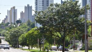 Campo Grande é a terceira cidade mais segura em ranking nacional