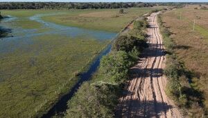 Sem licença ambiental: Obra de rodovia no Pantanal terá nova inspeção do TCE-MS