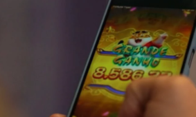 T&eacute;cnico furta R$ 30 mil de professora para usar no "jogo do tigrinho" em MS