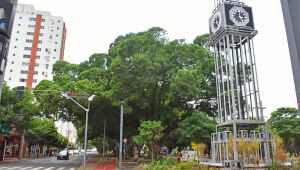 Campo Grande celebra liderança no ranking de arborização urbana