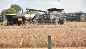 Dispara n&uacute;mero de empresas do agro em recupera&ccedil;&atilde;o judicial