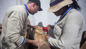 Dourados confirma 374 novos casos de chikungunya em 4 dias 