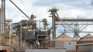 Boom industrial contribui para menor taxa de desemprego em 12 anos em MS