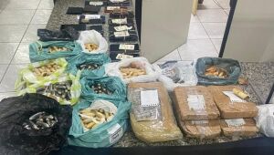 Opera&ccedil;&atilde;o da PF mira tr&aacute;fico de coca&iacute;na do PCC atrav&eacute;s de "mulas" na fronteira de MS