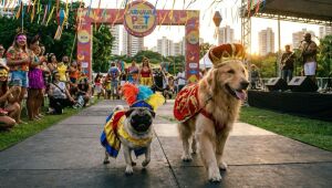 Carnaval e pets: saiba porque a folia pode causar danos &agrave; sa&uacute;de e ao bem-estar do seu c&atilde;o