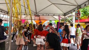 Blocos 'pr&eacute;-Carnaval' j&aacute; receberam cerca de R$164 mil do Governo de MS