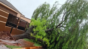 S&atilde;o Gabriel do Oeste acumula 532 mil&iacute;metros de chuva em 5 dias