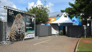 &Ocirc;nibus exclusivos v&atilde;o ligar hot&eacute;is ao Bosque dos Ip&ecirc;s durante a COP15