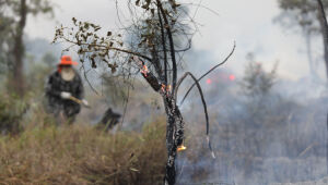 Chuvas irregulares e altas temperaturas acendem alerta de inc&ecirc;ndios florestais em MS