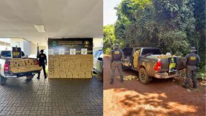 Caminhonete roubada &eacute; largada com 2 toneladas de drogas em milharal