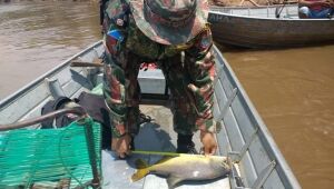 Piracema termina e pesca est&aacute; liberada em rios de Mato Grosso do Sul