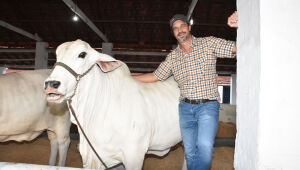 Com gen&eacute;tica nacional, pecuarista projeta R$ 1 milh&atilde;o em leil&atilde;o na Expogrande