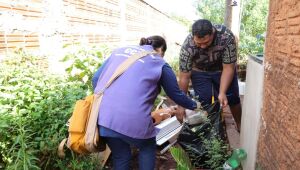 Ap&oacute;s 8 mortes, prefeitura de Dourados espera vacinar 43 mil contra chikungunya 