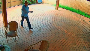 Caso Bernal: delegado descreve a&ccedil;&atilde;o e aponta per&iacute;cia como chave para ponto cego