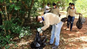 Somente 5 munic&iacute;pios de MS n&atilde;o registraram casos de chikungunya