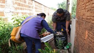 Dourados tem mais de 5 mil casos confirmados de chikungunya em 2026