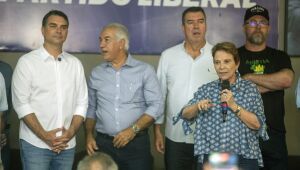 Tereza Cristina descarta ser vice e diz que vai buscar a presid&ecirc;ncia do Senado