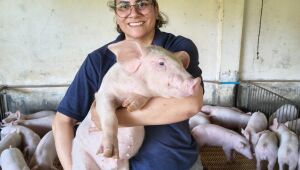 Suinocultura se consolida como for&ccedil;a na gera&ccedil;&atilde;o de emprego e renda em MS