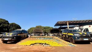 PRF apreende 591 Kg de coca&iacute;na em duas caminhonetes na Capital