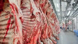 Pecuaristas de MS reagem &agrave; decis&atilde;o da UE contra carne brasileira