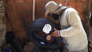 Chikungunya faz 21&ordf; v&iacute;tima em MS e mant&eacute;m alerta em 79 munic&iacute;pios